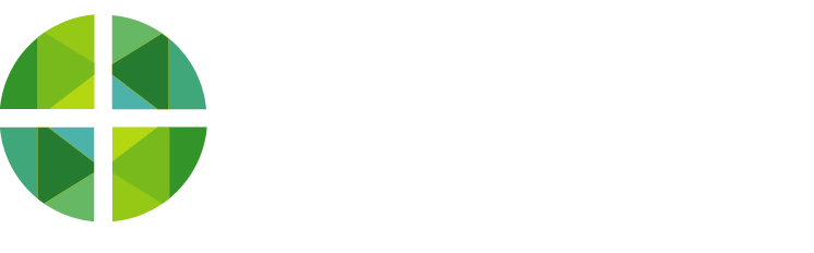 Orlando Window Film